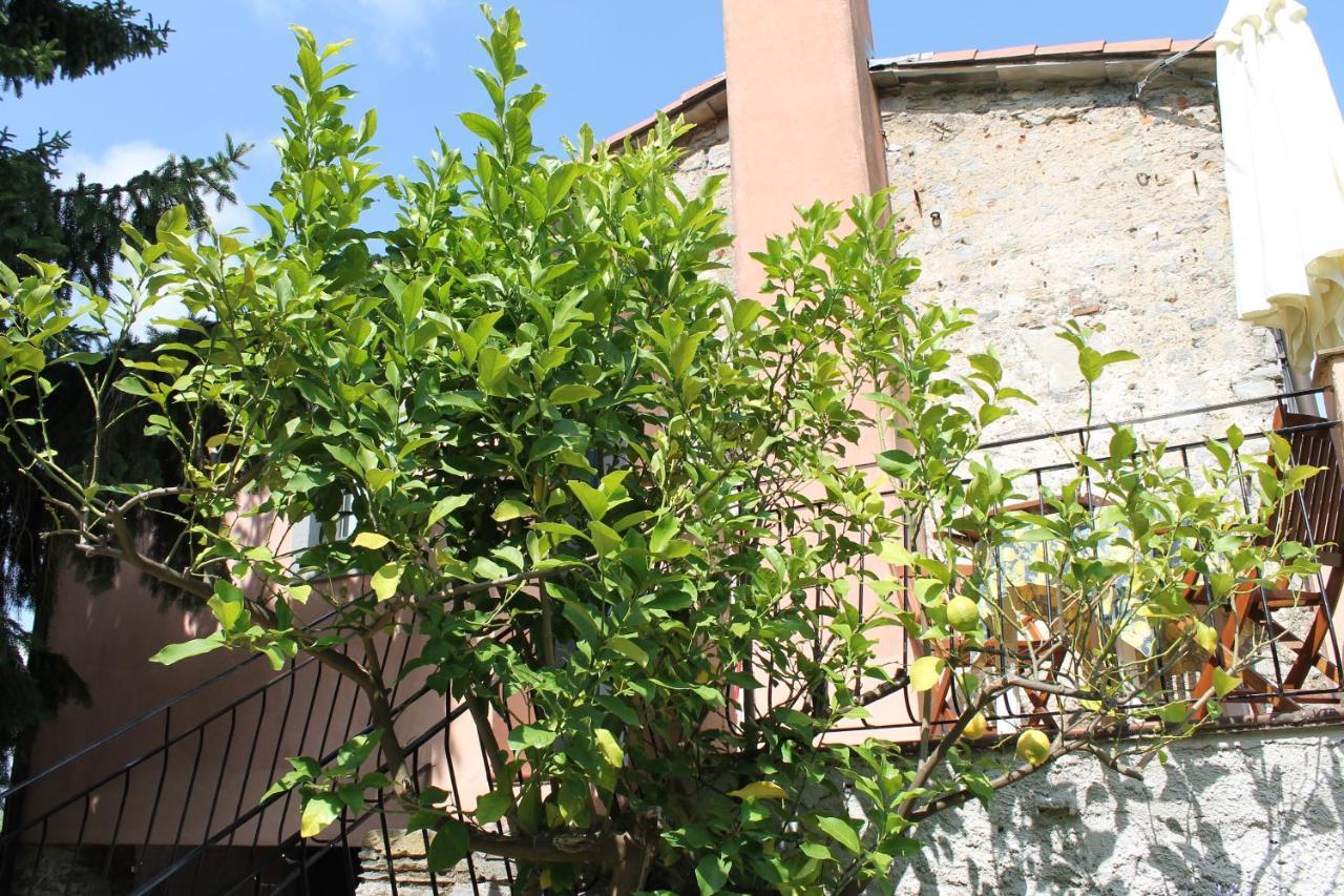 Agriturismo Terrazza Sul Golfo - Il Casale La Spezia Exterior photo